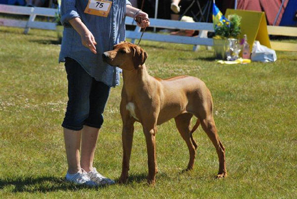 Missy p� utst�llning sommaren 2010