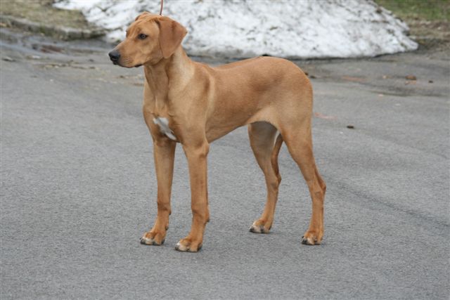 Missy 7 m�nader